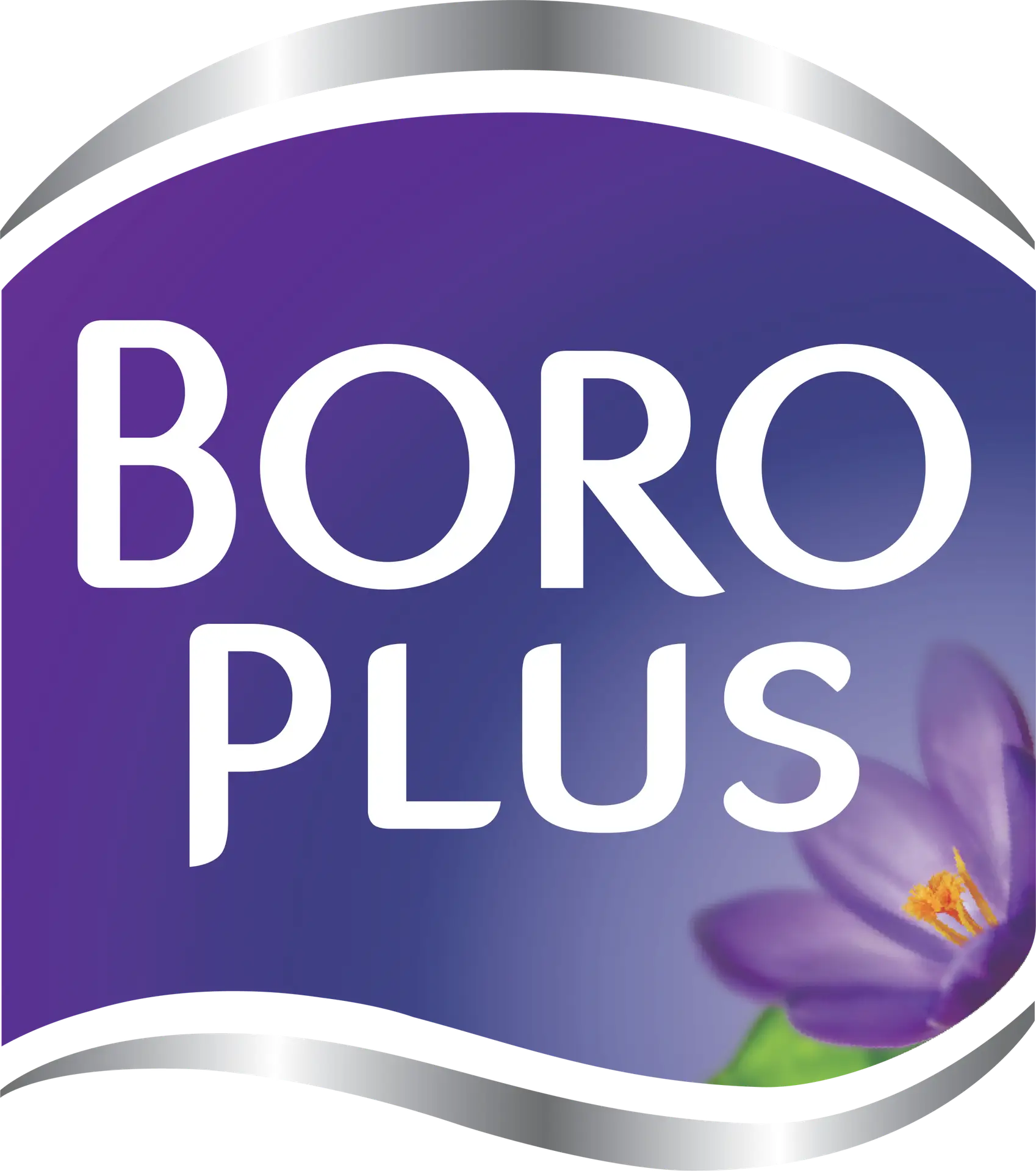 Boro Plus